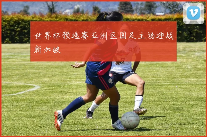 世界杯预选赛亚洲区国足主场迎战新加坡