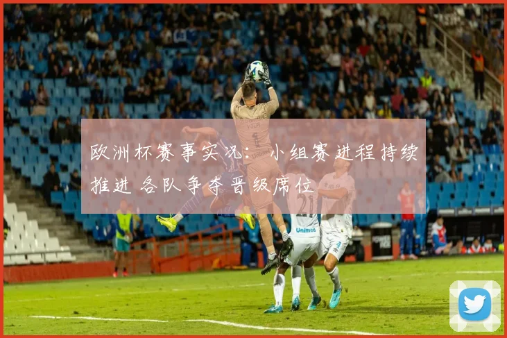 欧洲杯赛事实况:小组赛进程持续推进 各队争夺晋级席位