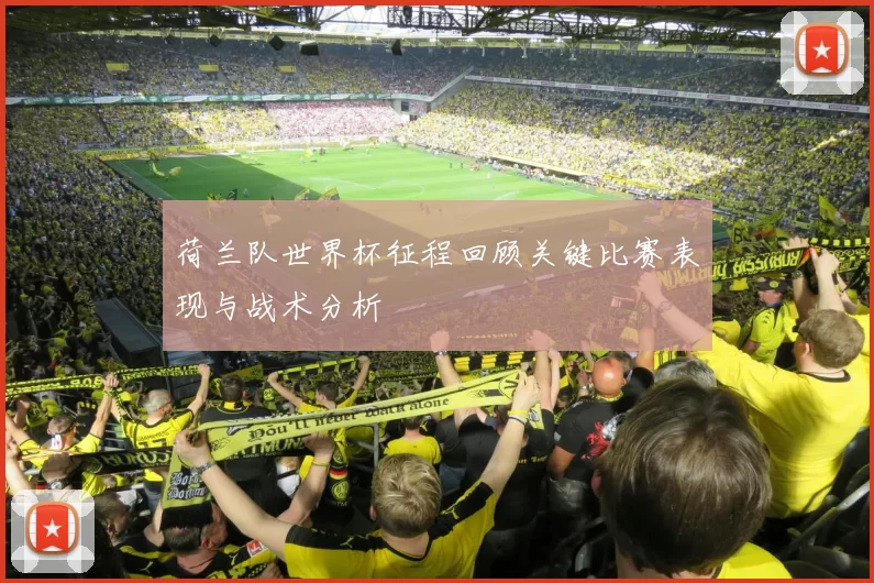 荷兰队世界杯征程回顾关键比赛表现与战术分析